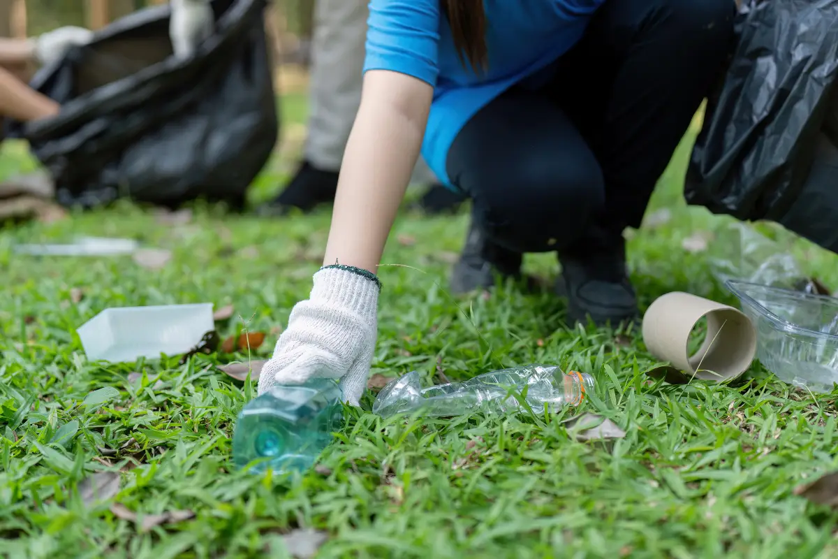 Éco-responsable : Comment organiser vos événements ?