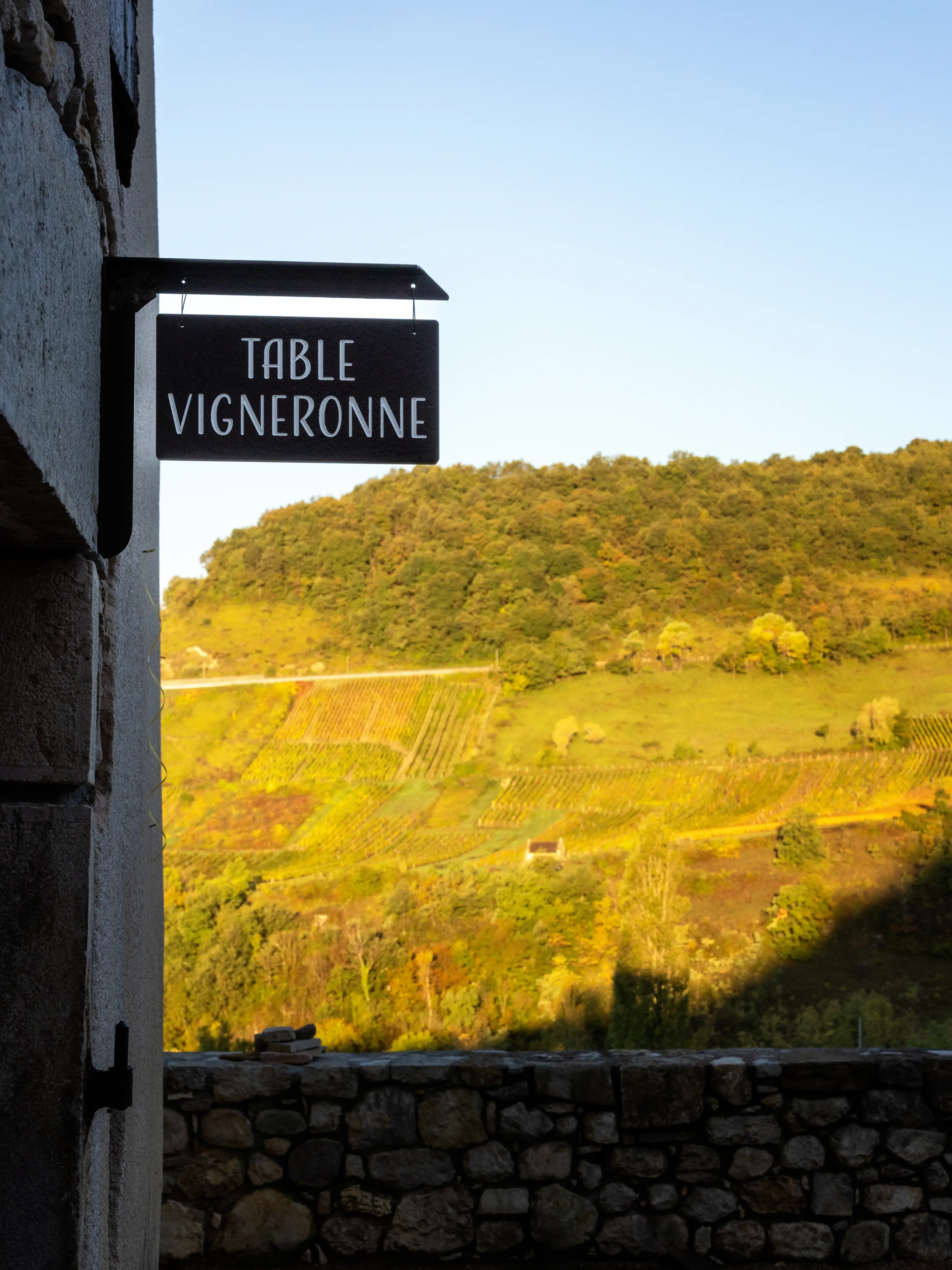Séminaire et afterwork au milieu des vignes 3