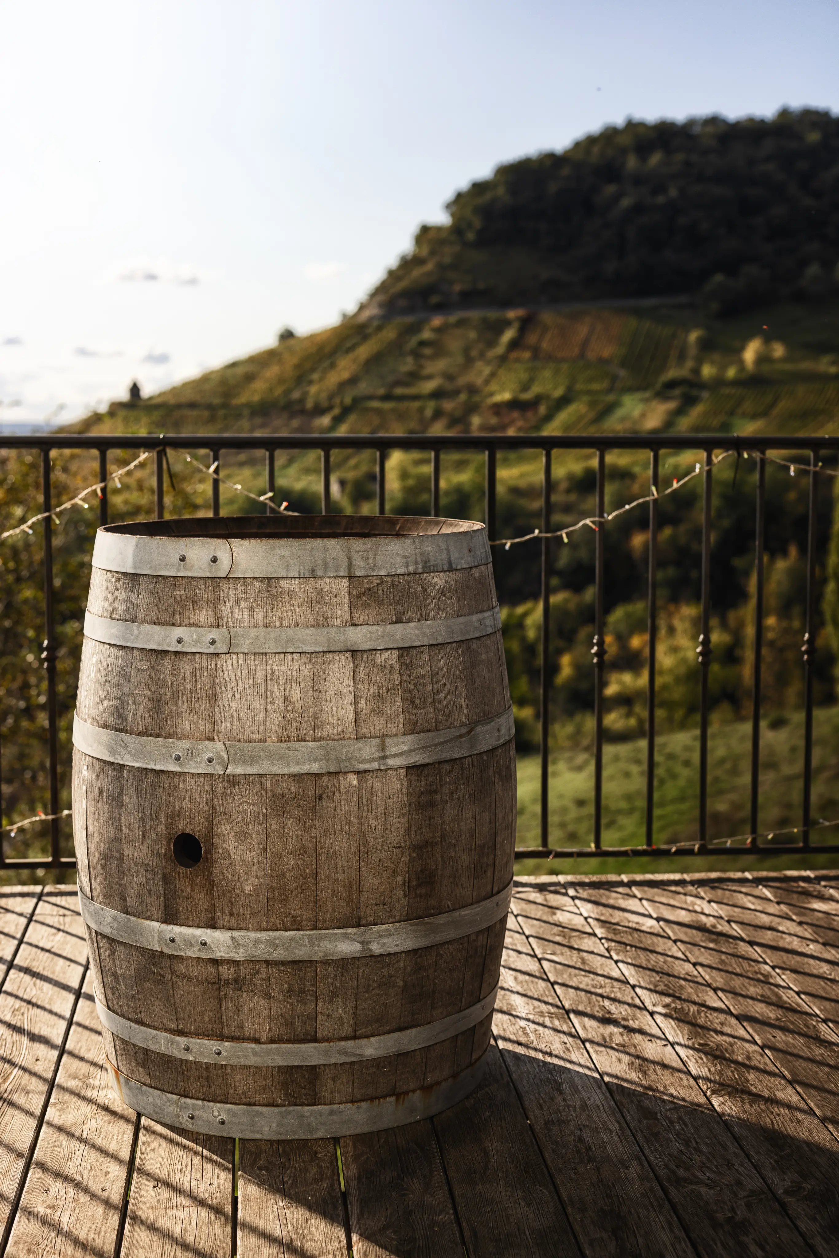Séminaire et afterwork au milieu des vignes 5