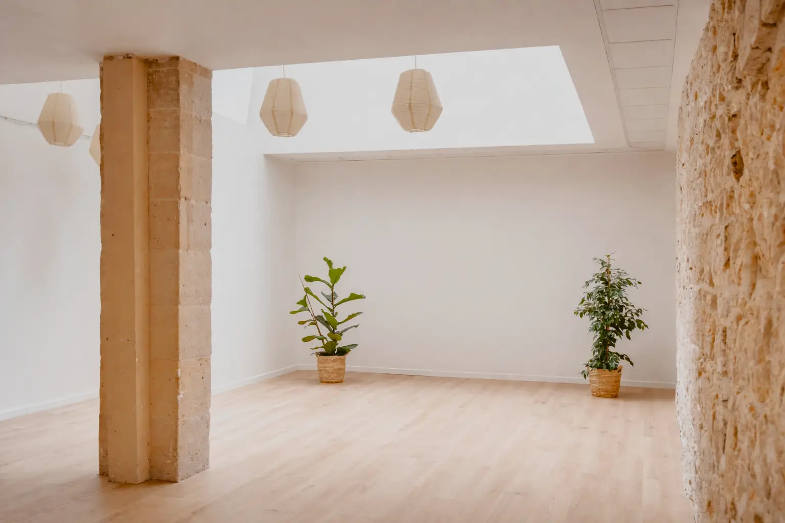 Ground to Grow - Café-Restaurant & Salle de réunion / Bien-être à louer au cœur du Marais 3