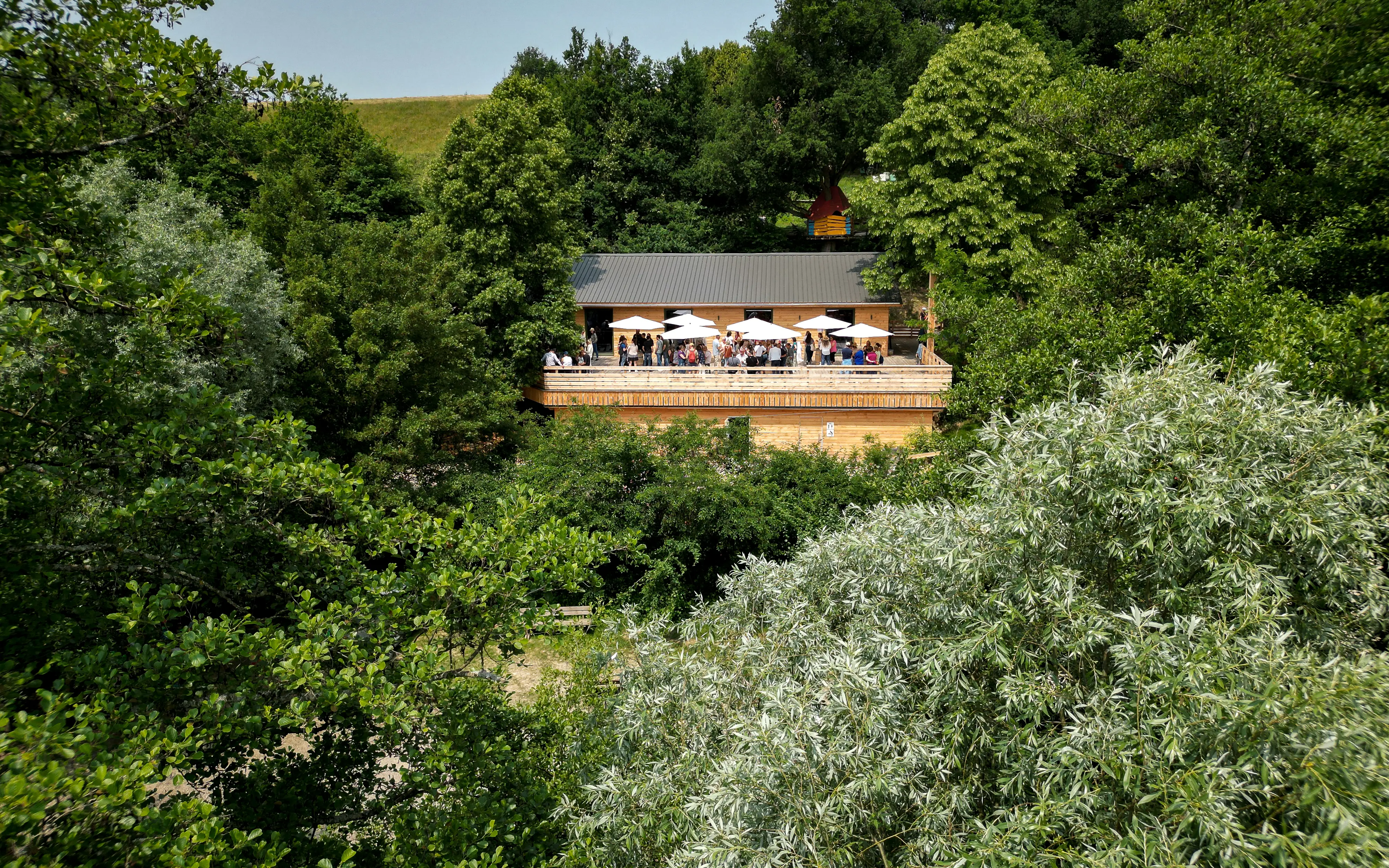 Bois des Lutins Business
