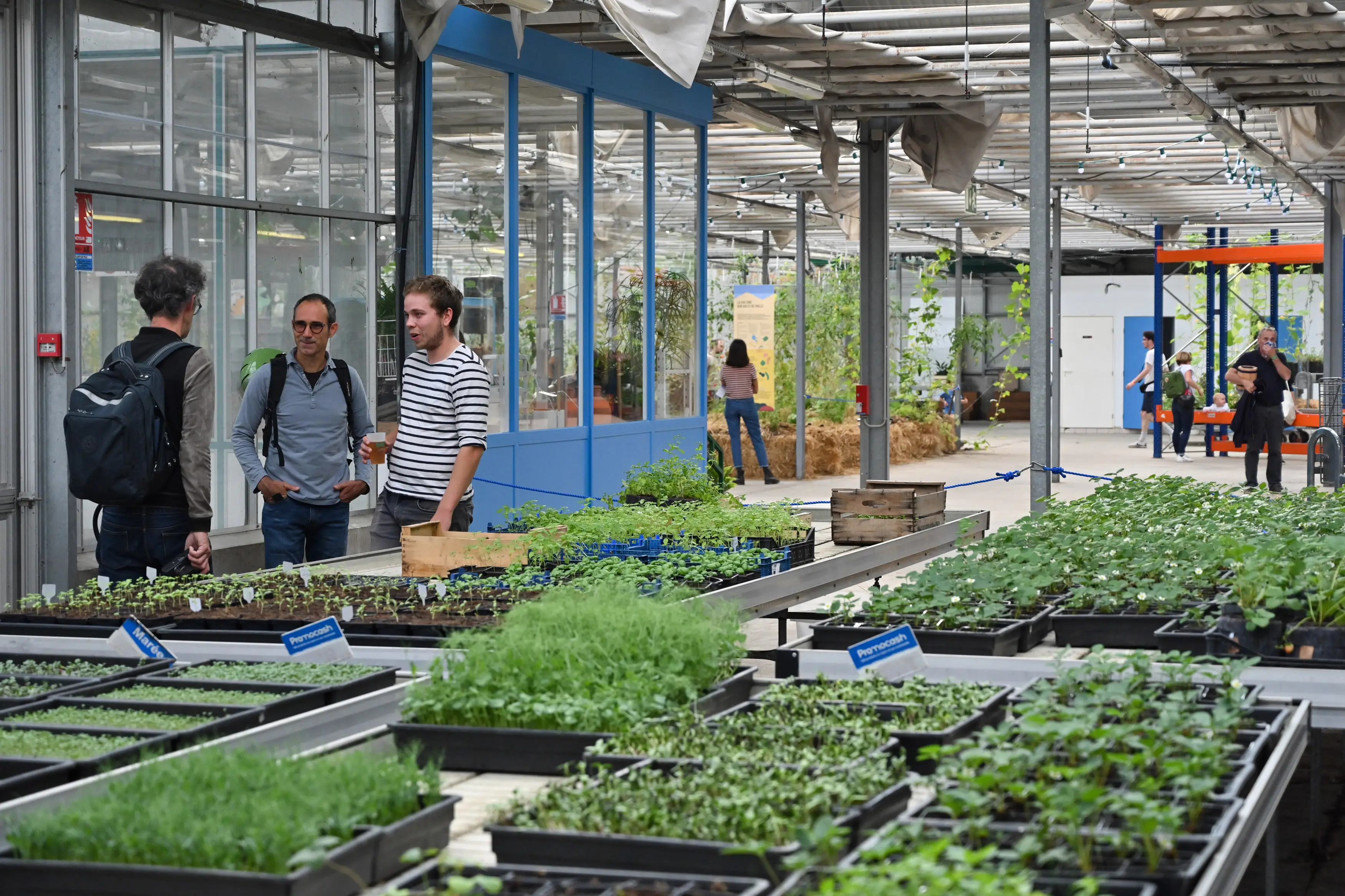 L'Agronaute 5