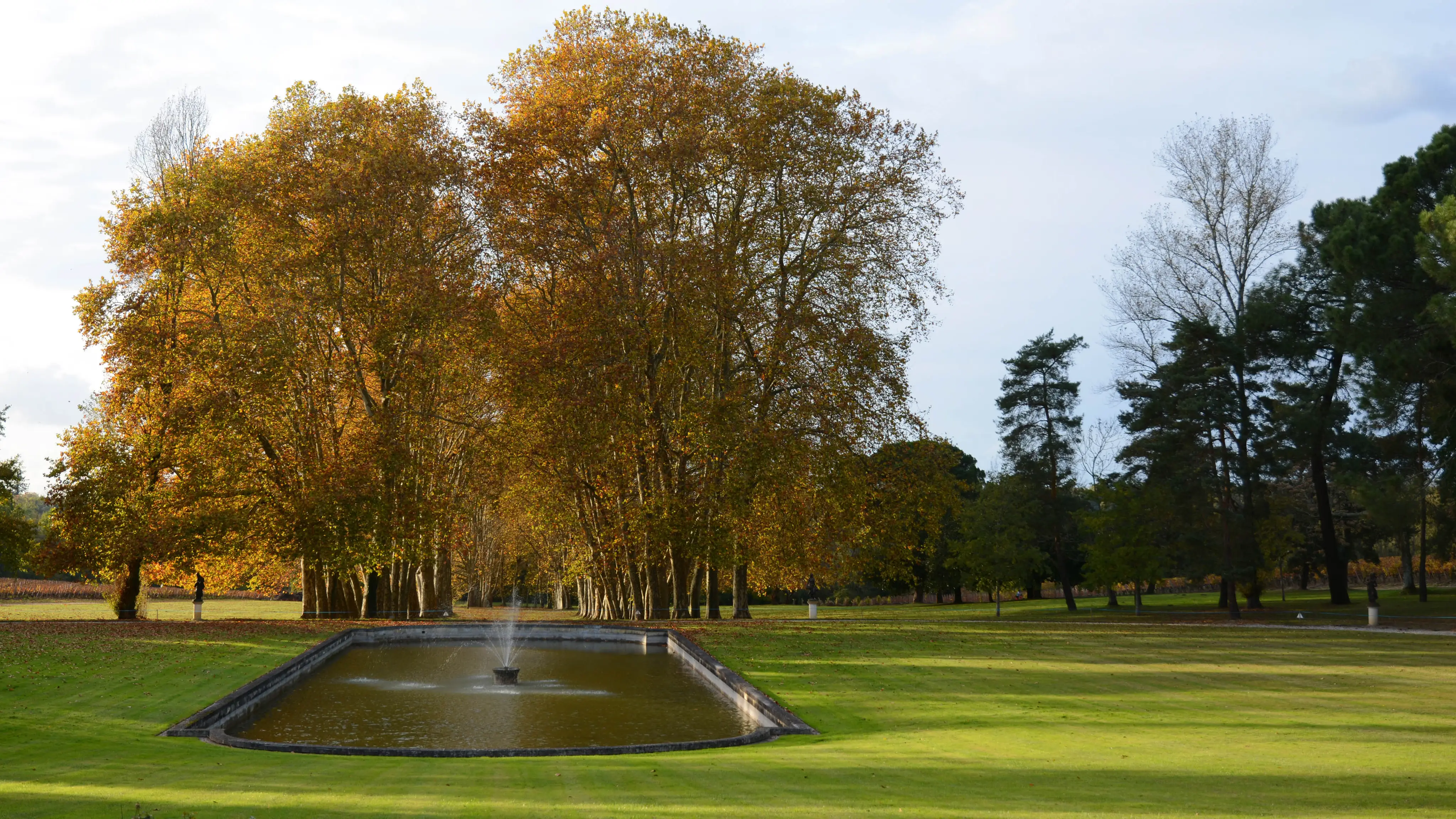 Château la Louvière 13