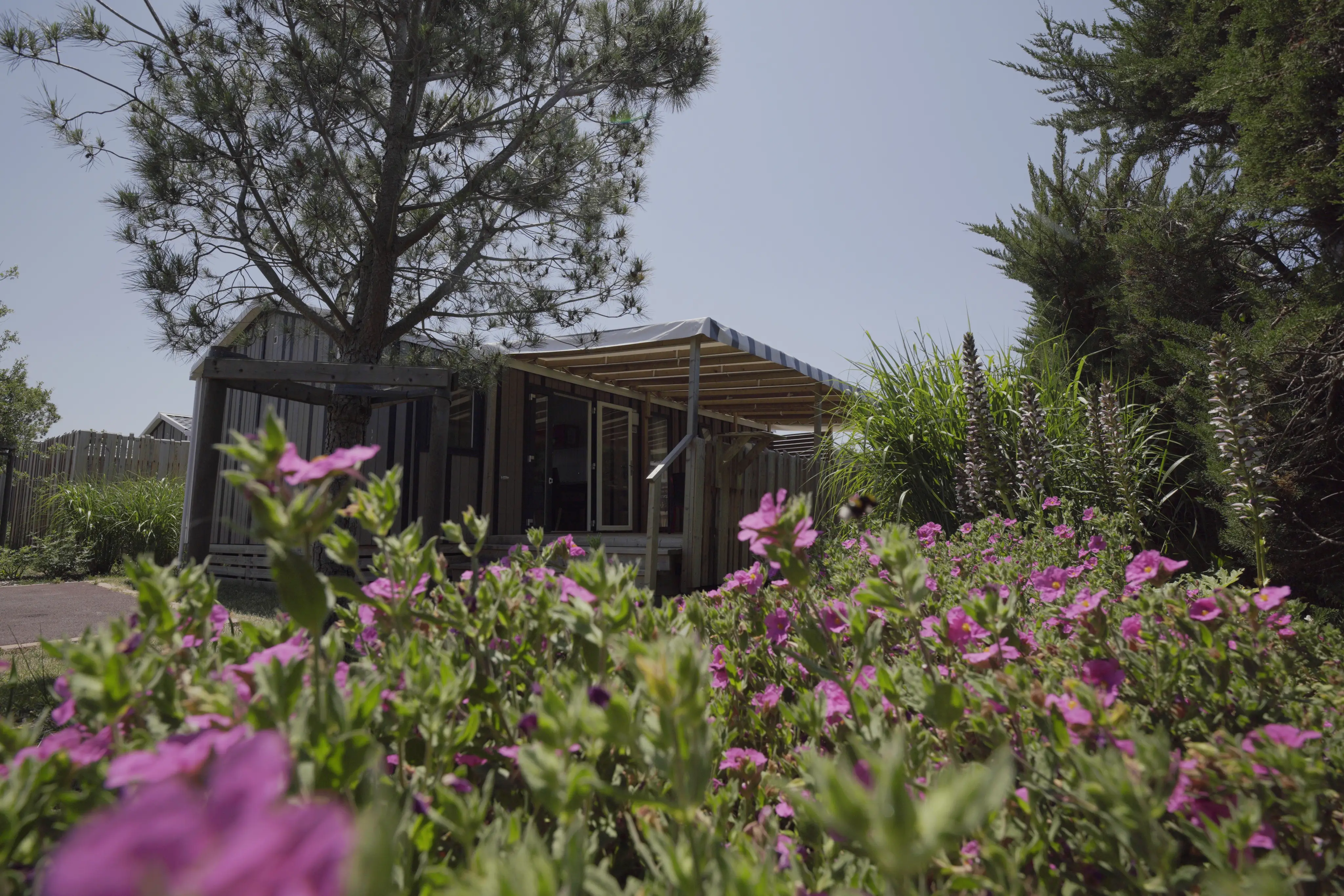 Camping Le Bel Air 4