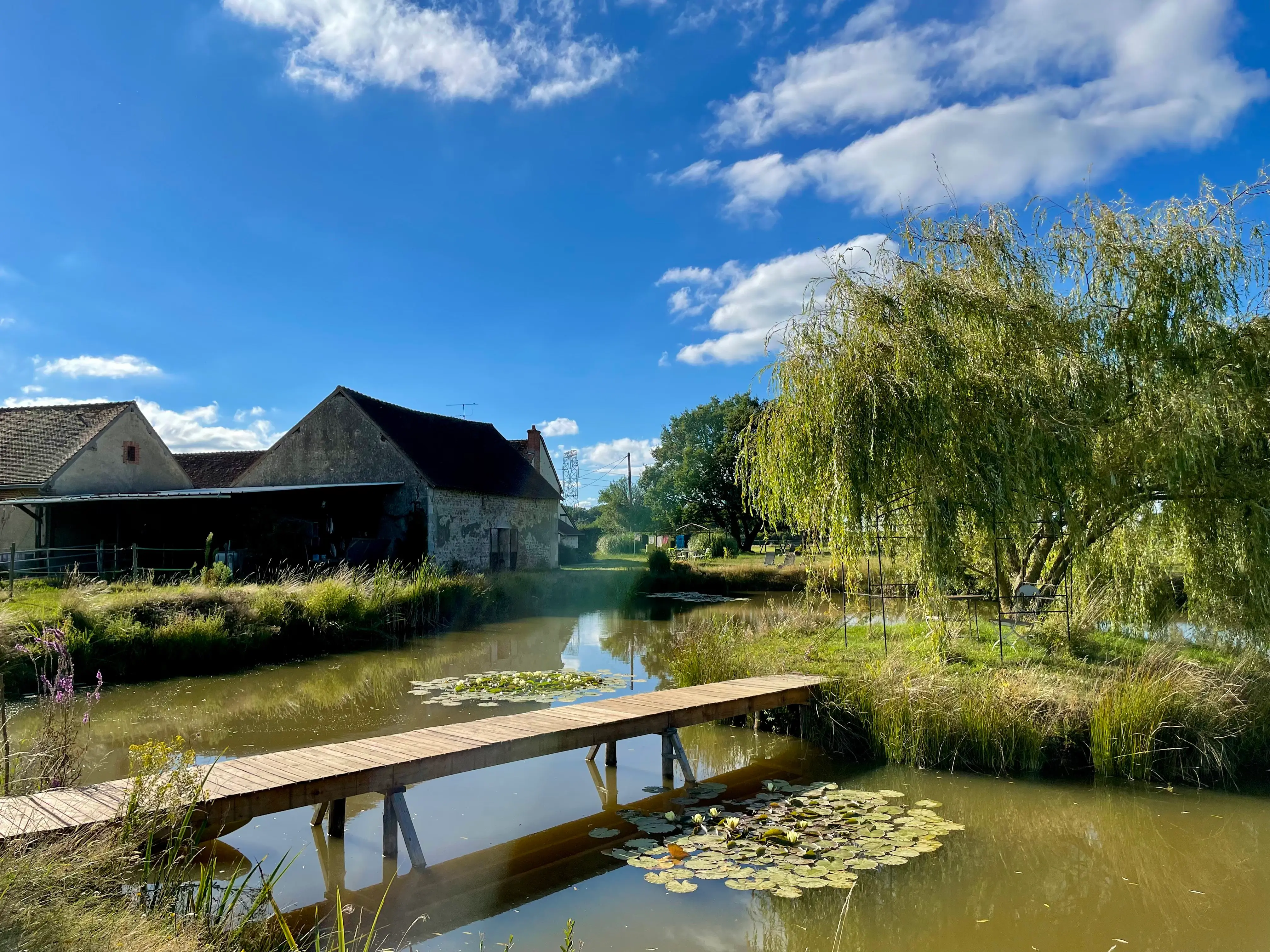 Domaine Les Petits Augeons 22