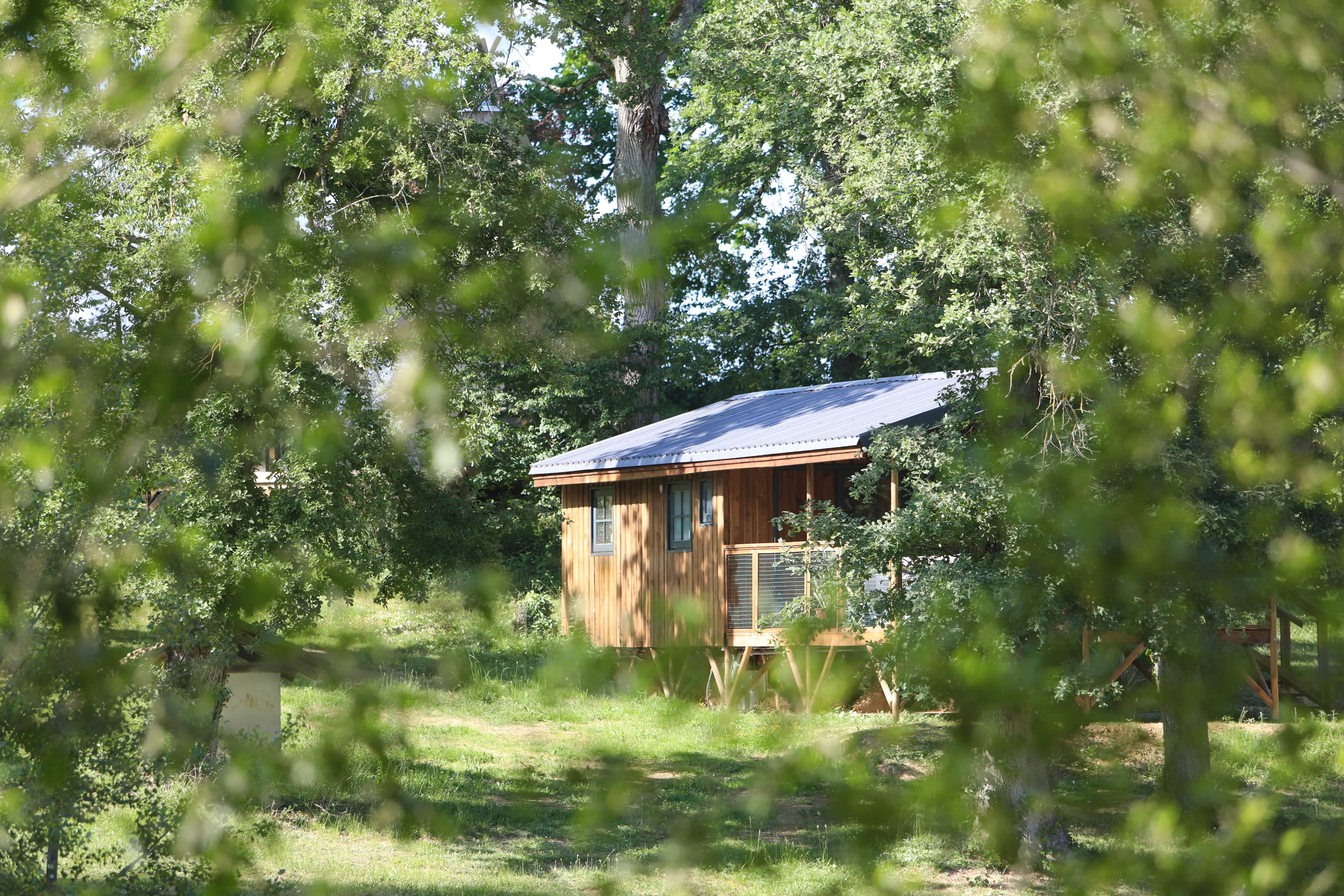 Whaka Lodge, Luxury Camp 33