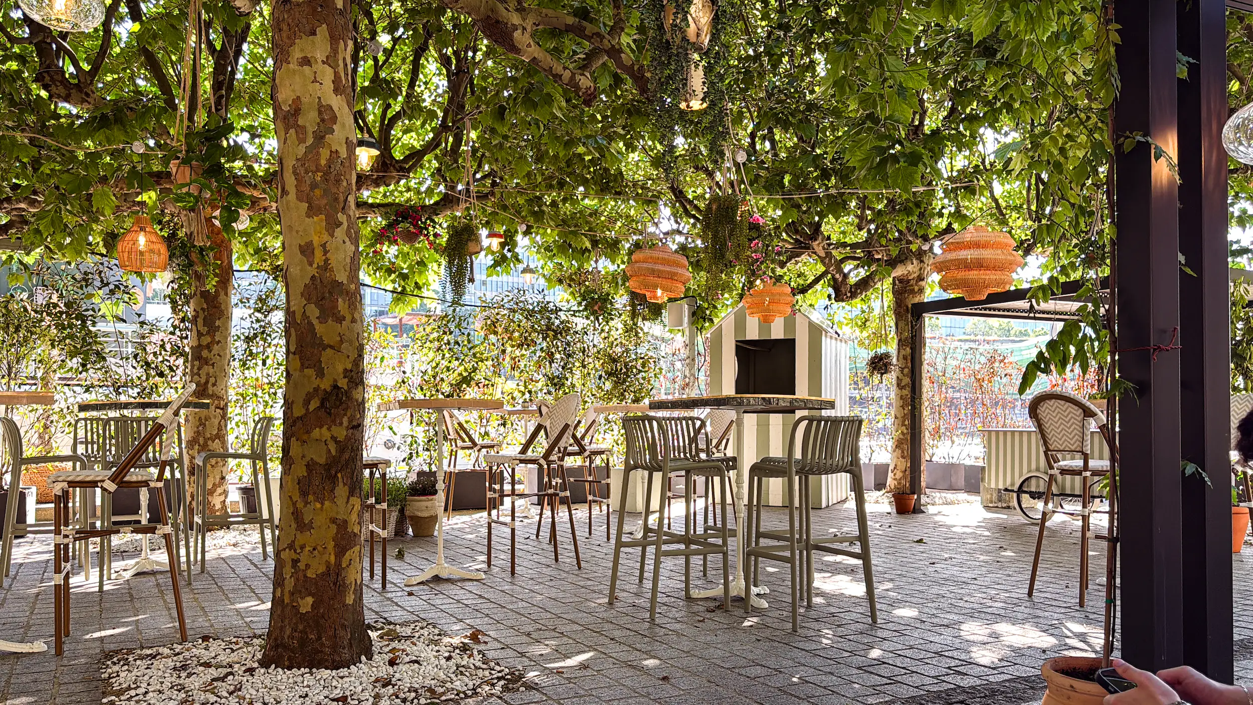 La Provencale 7