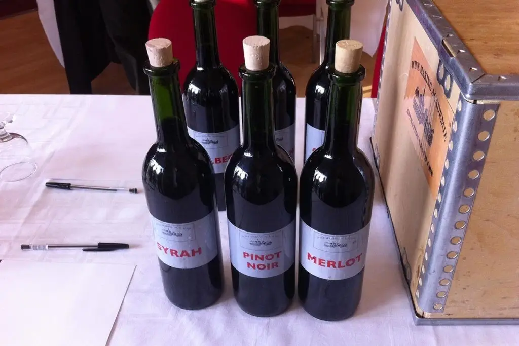 Wine Making Academy 5