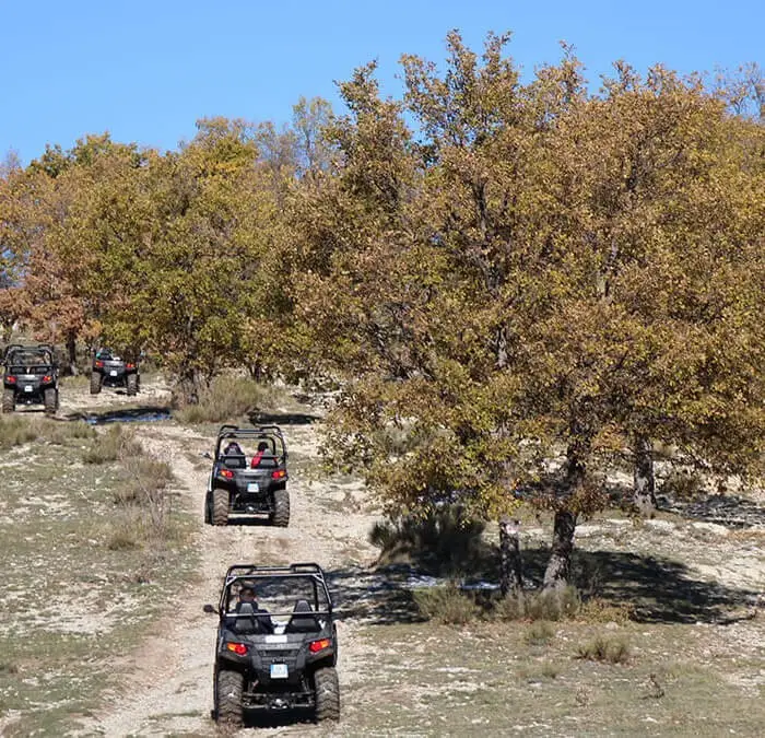 Balade en Buggy ! 3