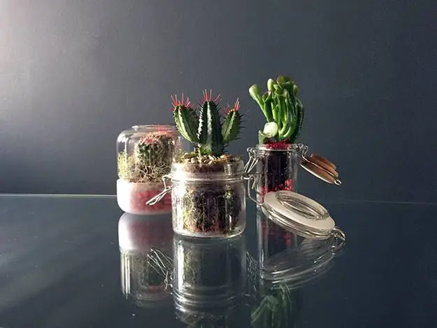Atelier du jardin 2