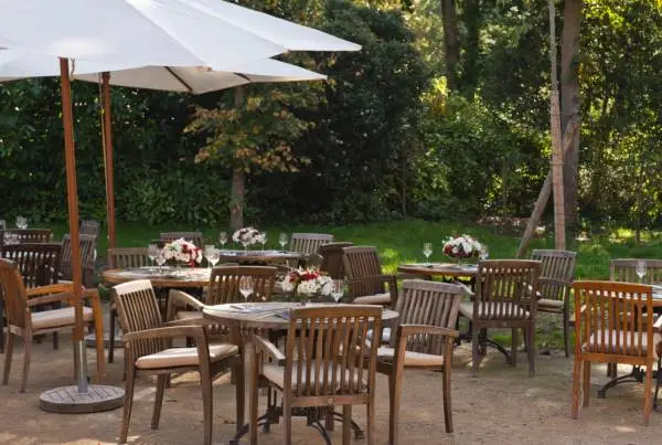 Les Jardins de Bagatelle 8