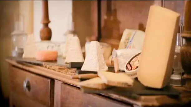 Immersion dans la Caséologie 2