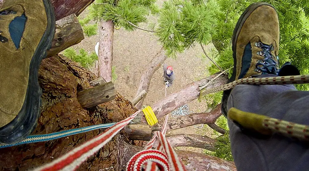 Initiation à la grimpe d’arbre 4