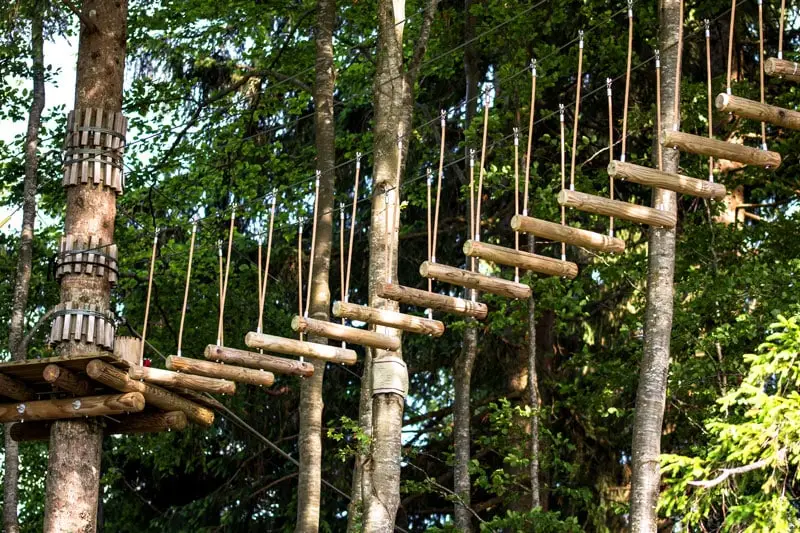 Parcours d'Accrobranche 2