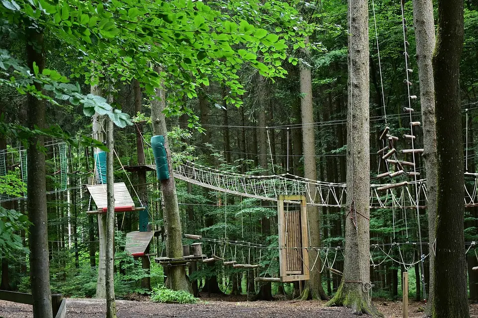 Parcours d'Accrobranche 3