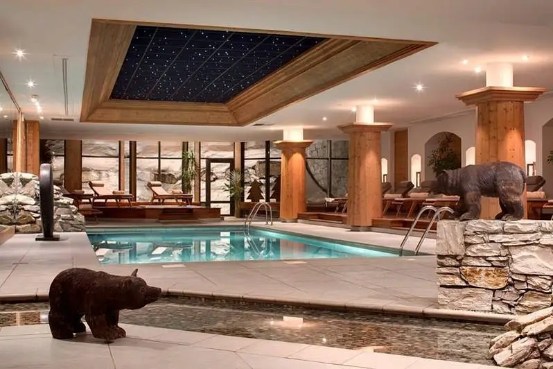 Hôtel Les Barmes de l'Ours 8