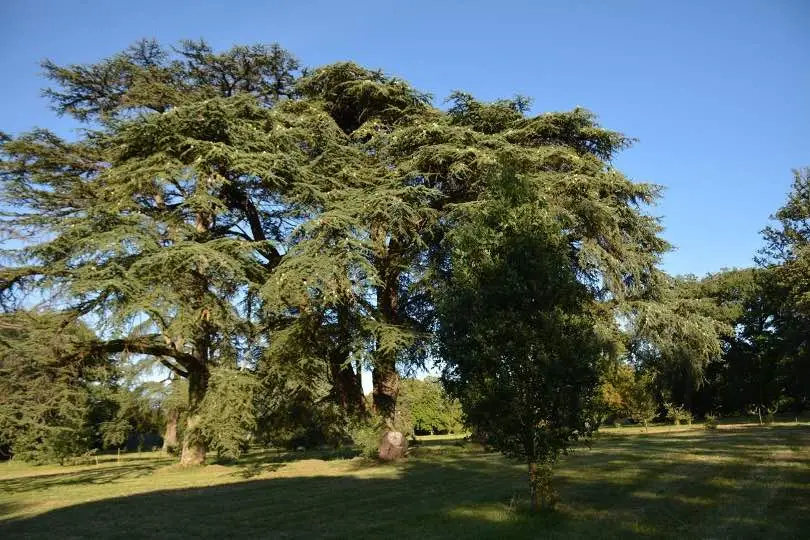 La Bastide Rouge 3