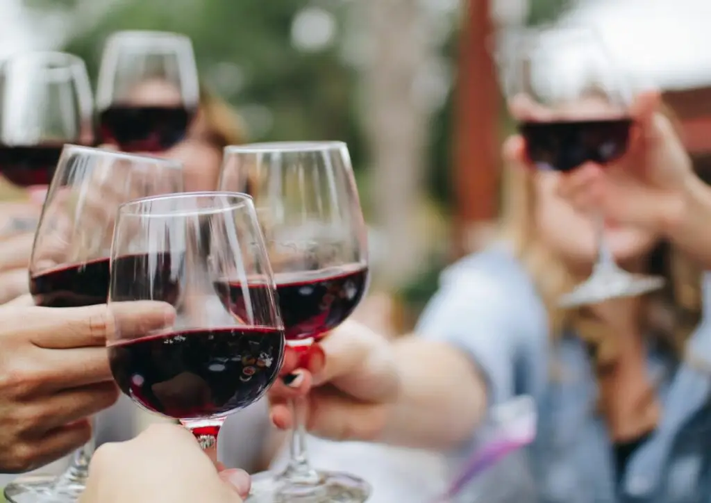 Dégustation de vins 🍷
