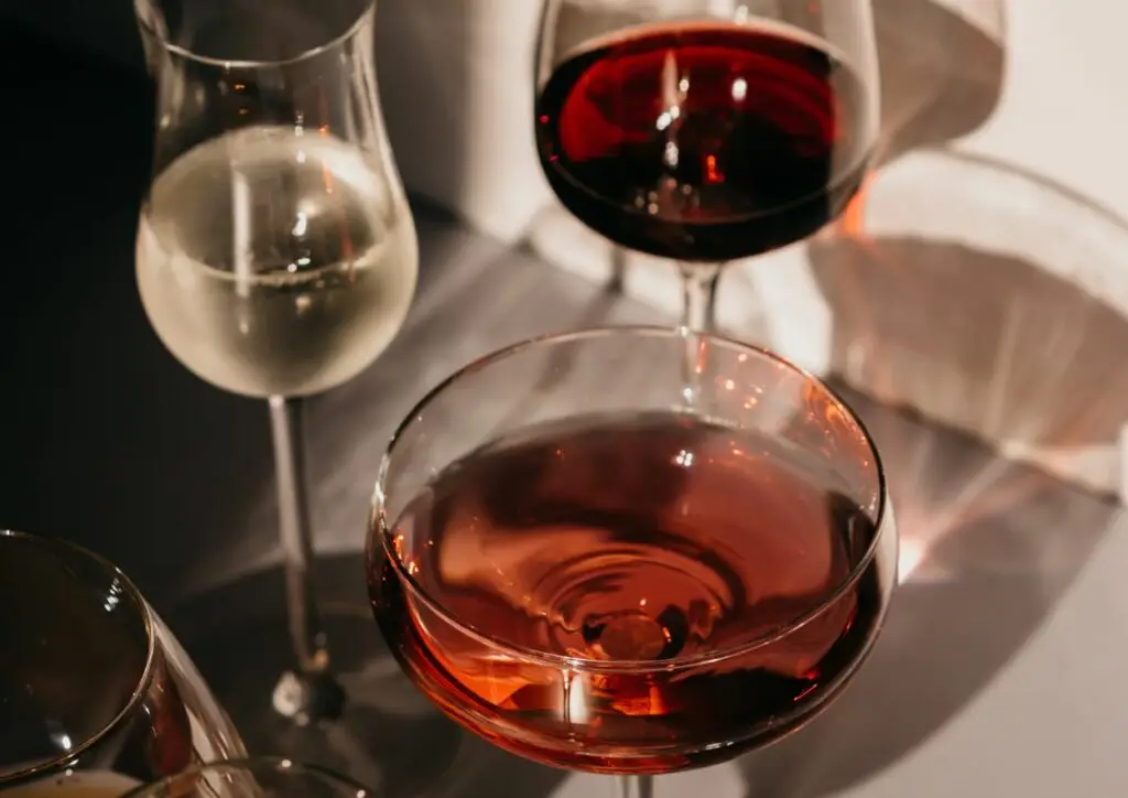 Dégustation de vins 🍷 2