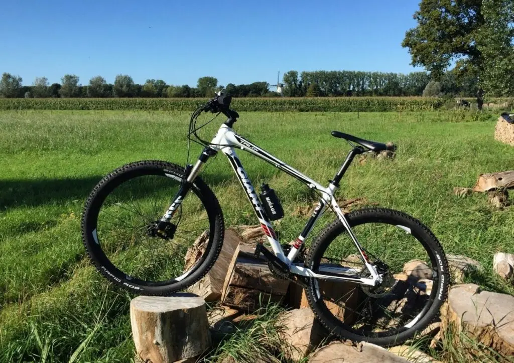 Team Building Rallye en VTT 🚴♂️