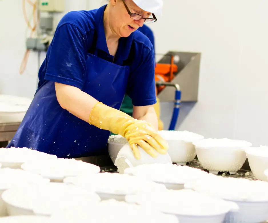 Fabriquez vos propres fromages