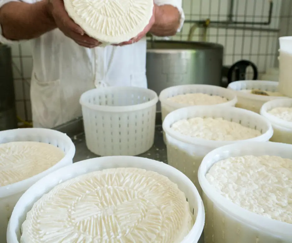 Fabriquez vos propres fromages 3
