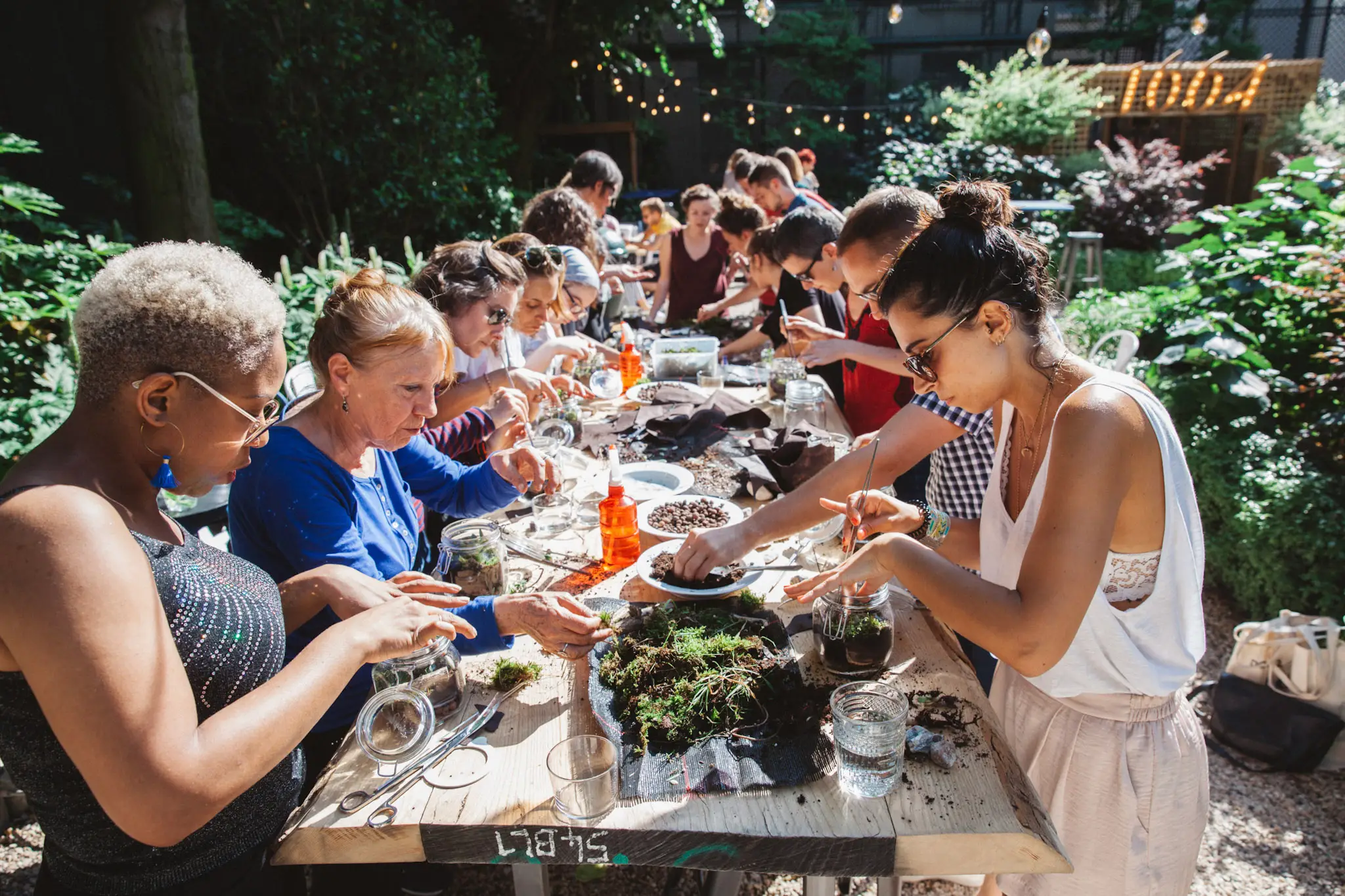 Atelier Terrarium