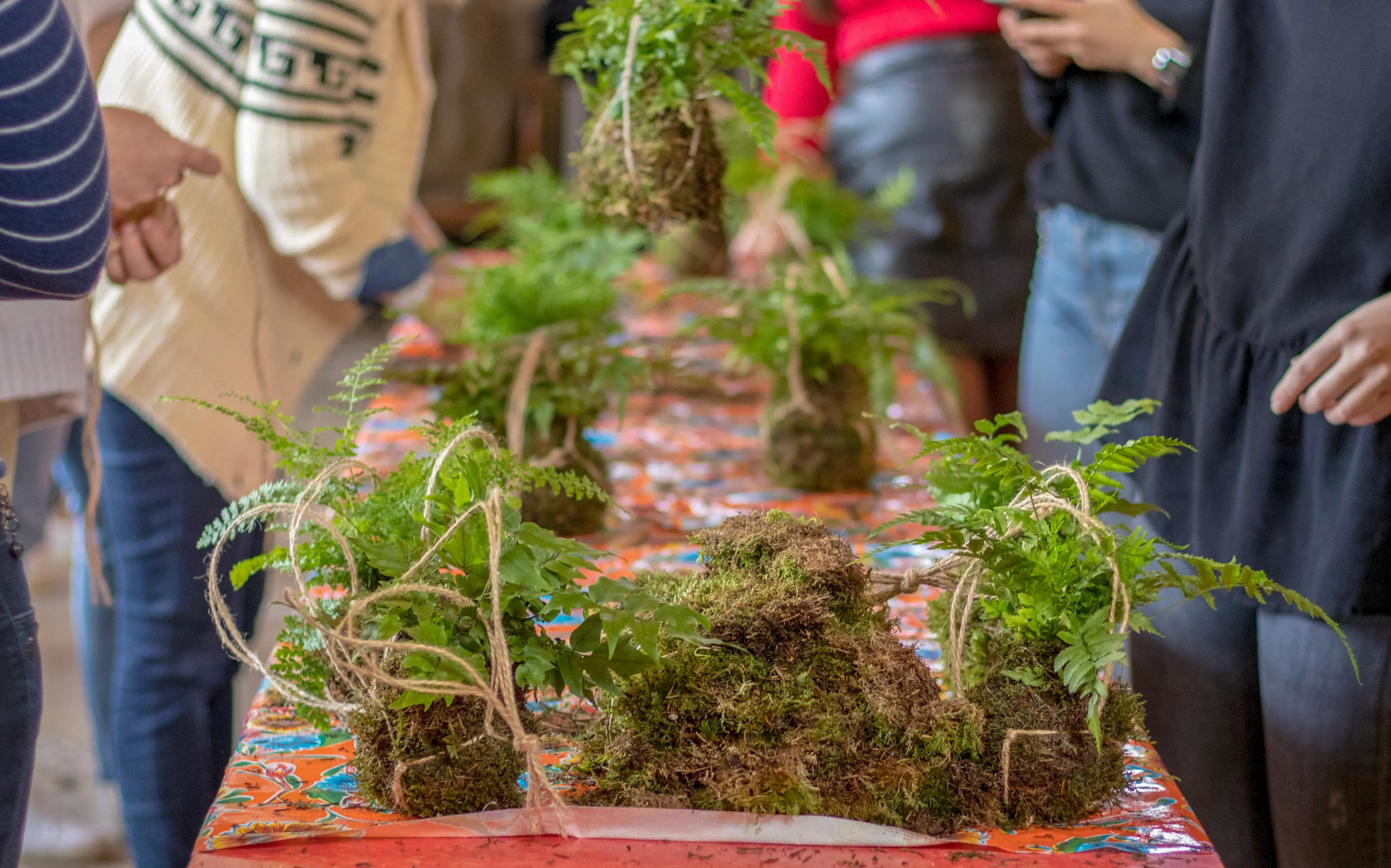 Atelier Kokedama 3