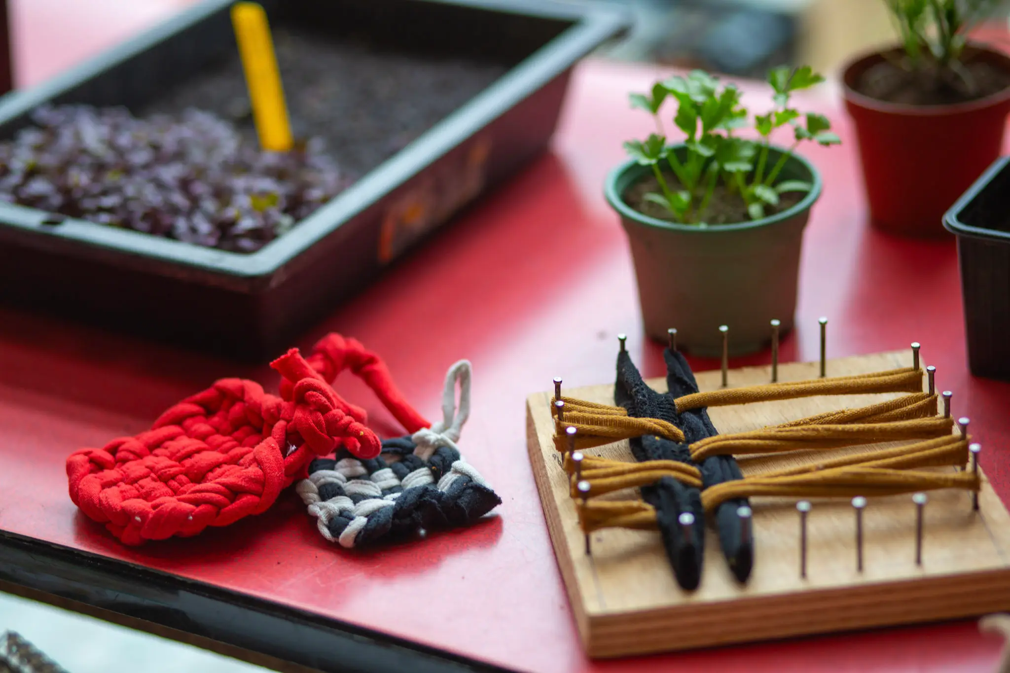 Atelier réalisation de tawashi 2