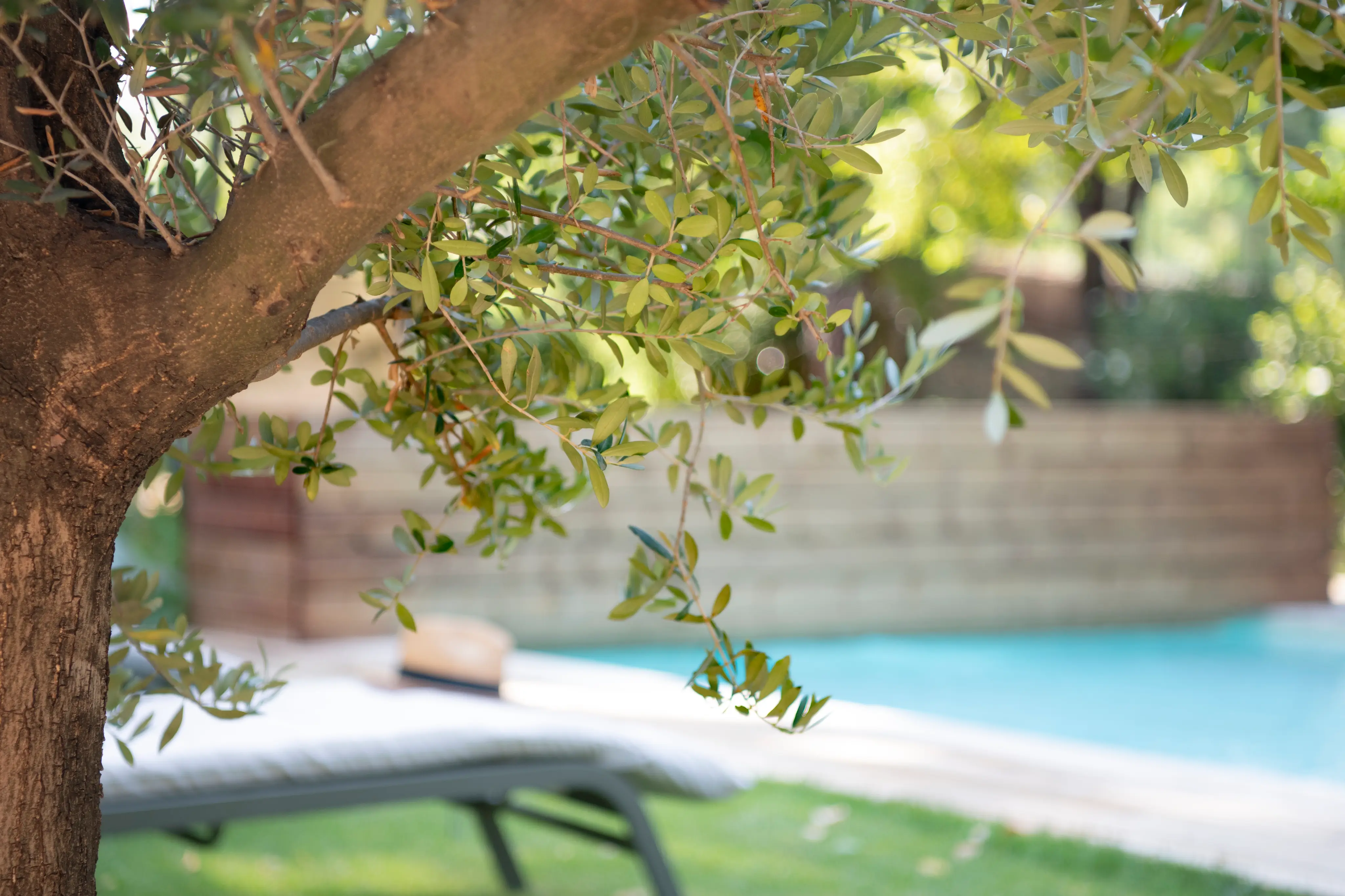 Maison Sumiane : Séminaire en provence verte 4