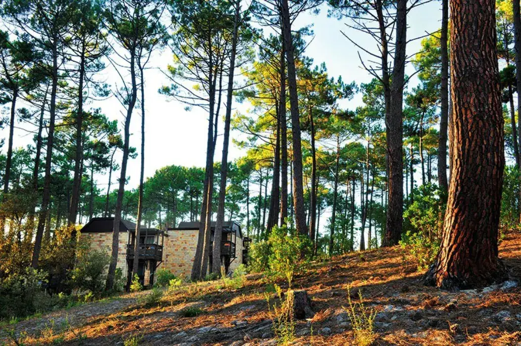 Domaine des Bruyères 4