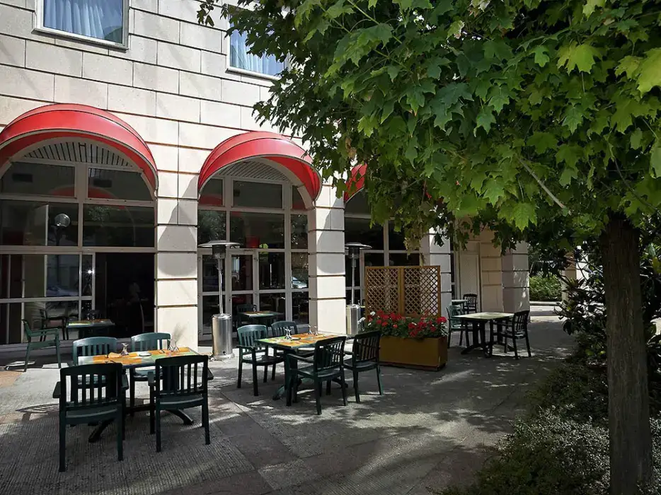 Ibis Vichy 7