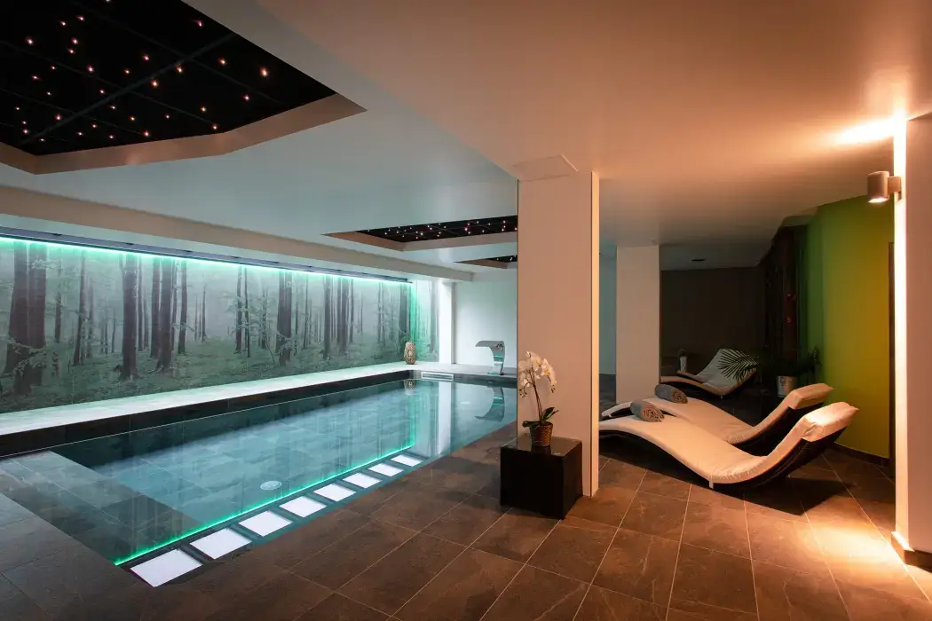 Europe Haguenau - Hôtel restaurant meeting et Spa 45