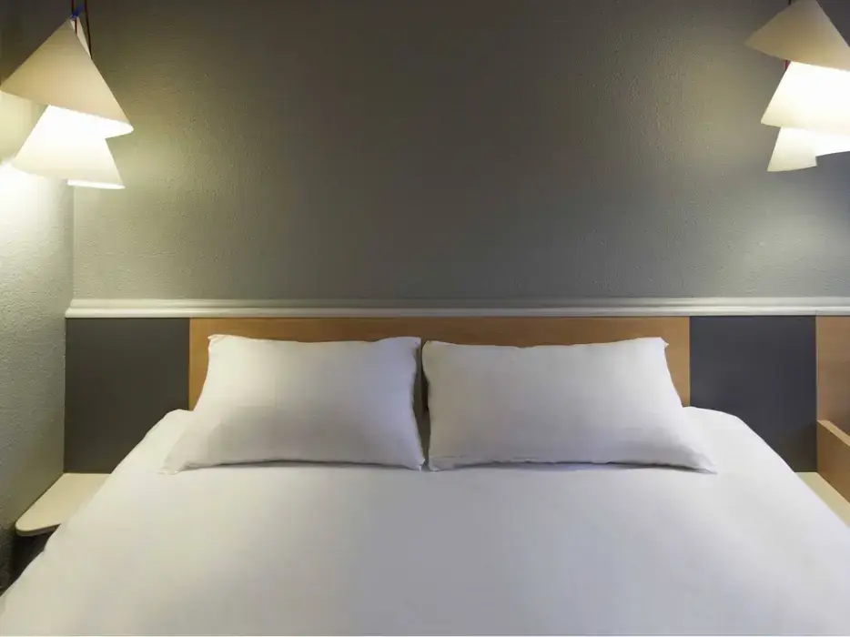 Ibis Lyon Gerland Musee des Confluences 7