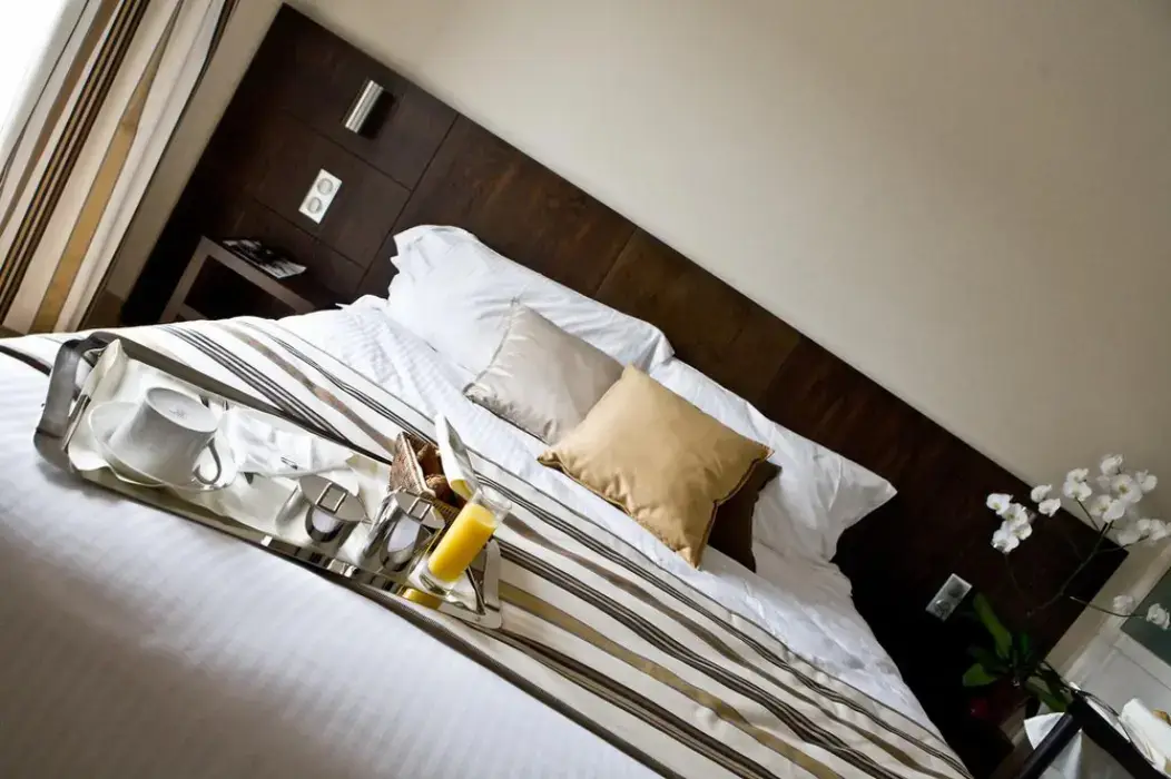 Best Western Plus Hôtel des Francs 12