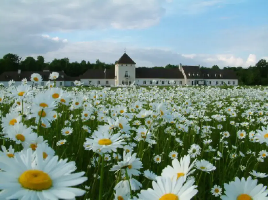 Exclusiv Golf Domaine d'Apremont 12