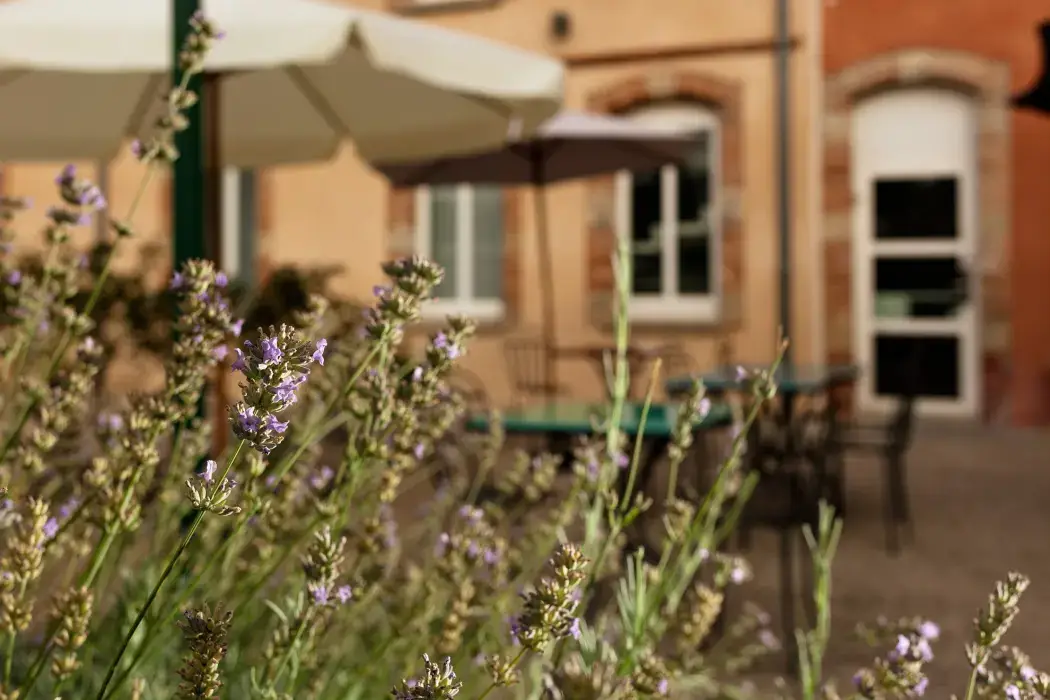 Ibis Styles Toulouse Lavaur 17