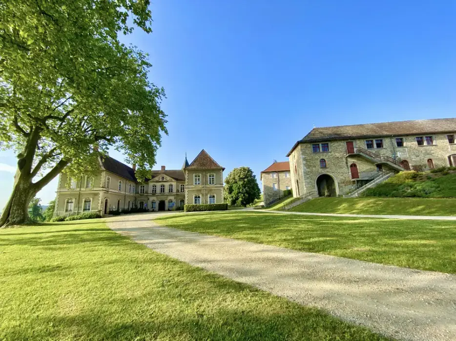 Château de Montolivet 8