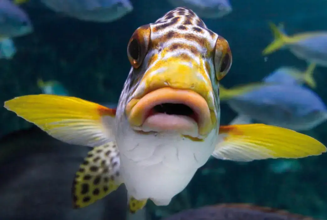 Aquarium La Rochelle 3