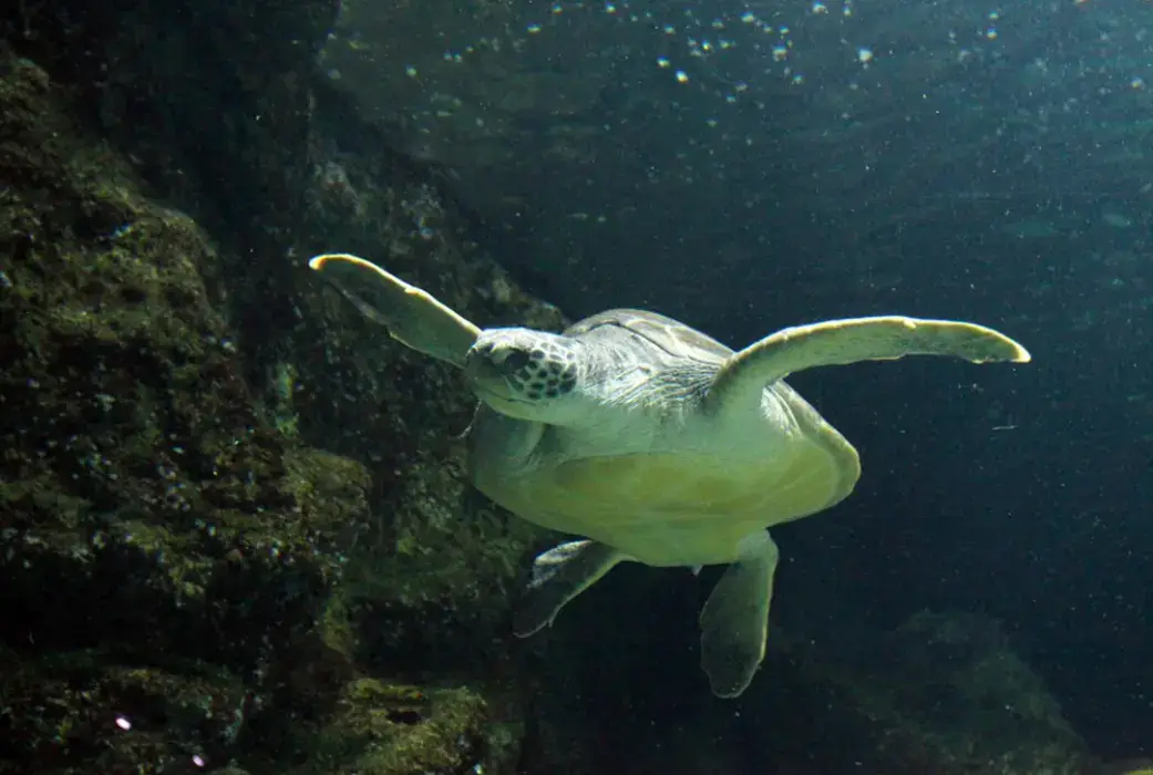 Aquarium La Rochelle 5