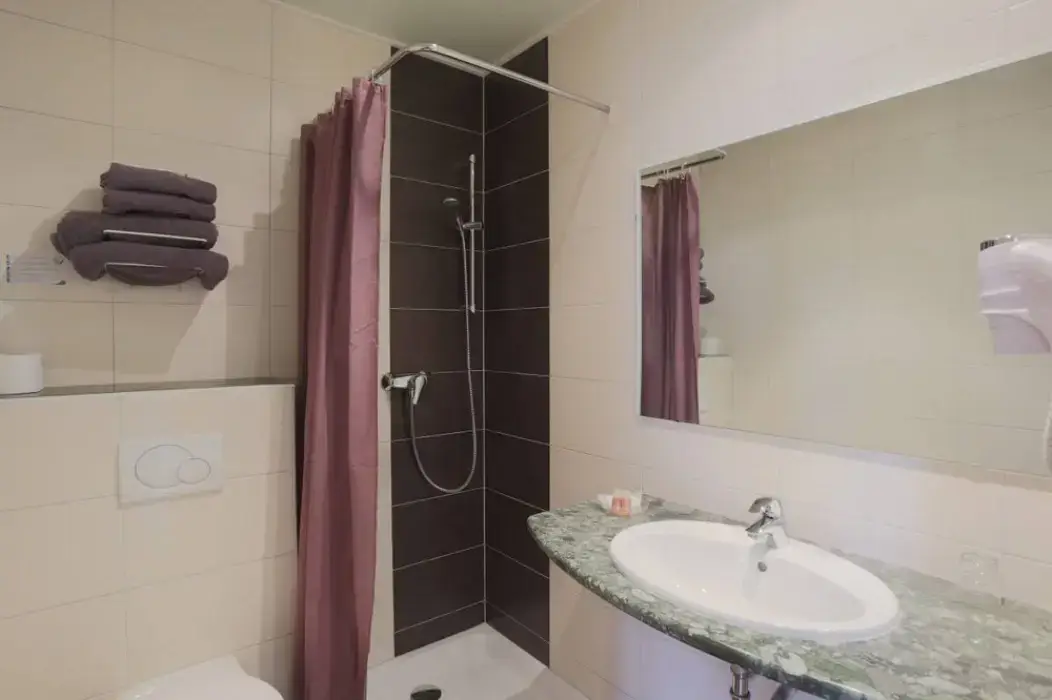 Best Western Mulhouse Salvator Centre 5