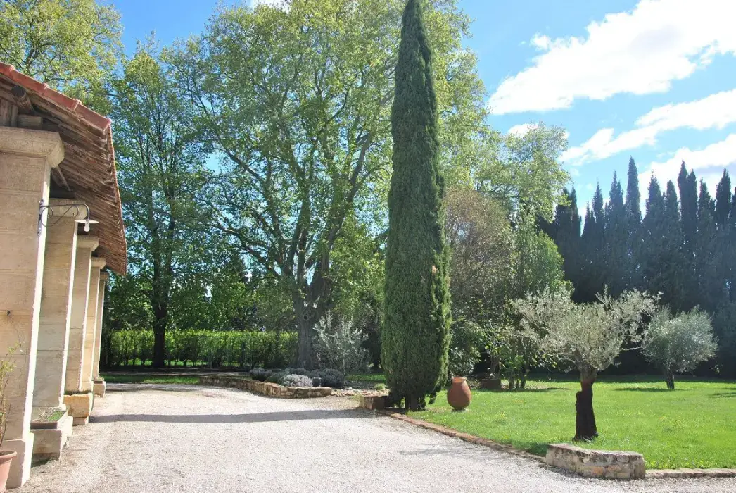 Mas des Comtes de Provence 8