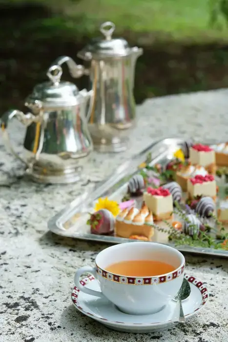 Hostellerie Briqueterie et Spa Champagne 14