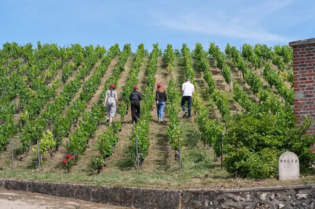 Hostellerie Briqueterie et Spa Champagne 18