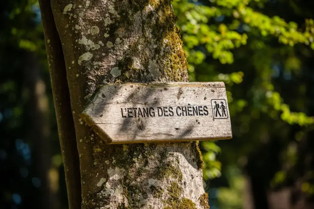 La Chapelle Saint Martin 15