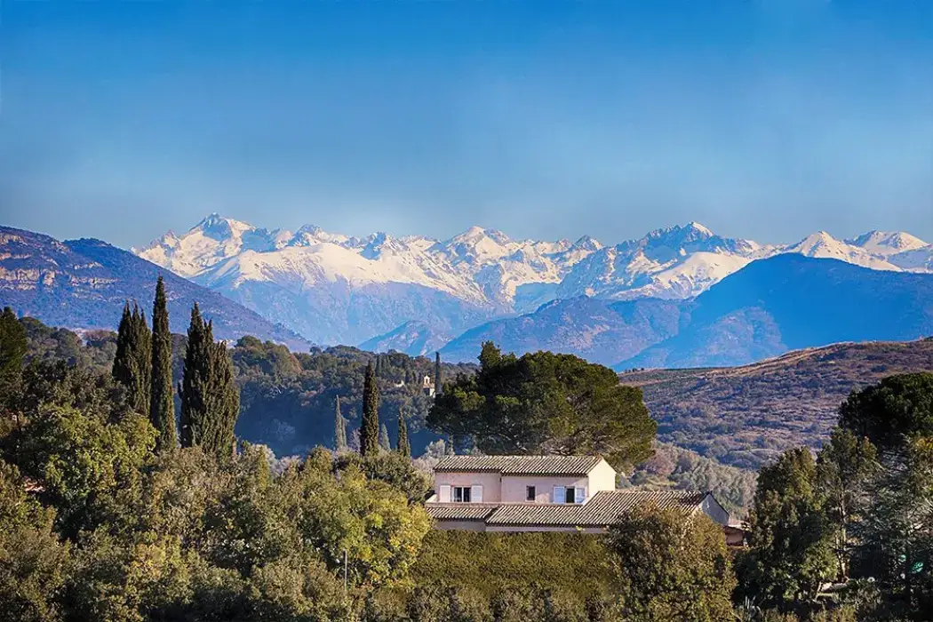 Baya Sophia Antipolis 3
