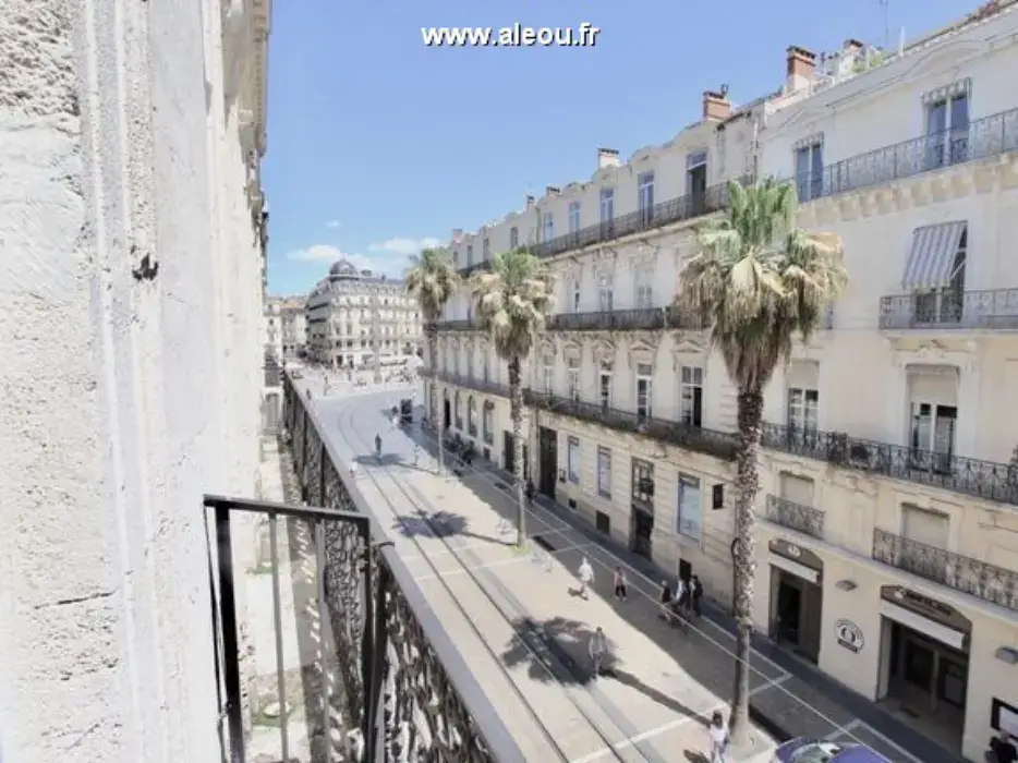 Le Paon Coworking 2