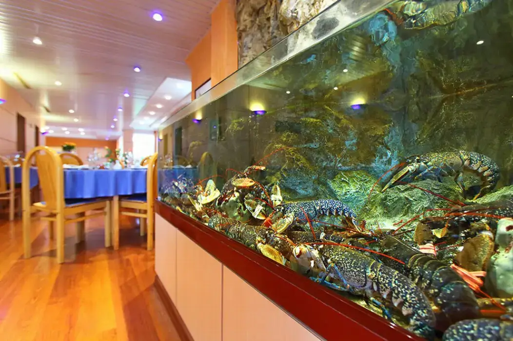 Hirondelle Hôtel Restaurant 9