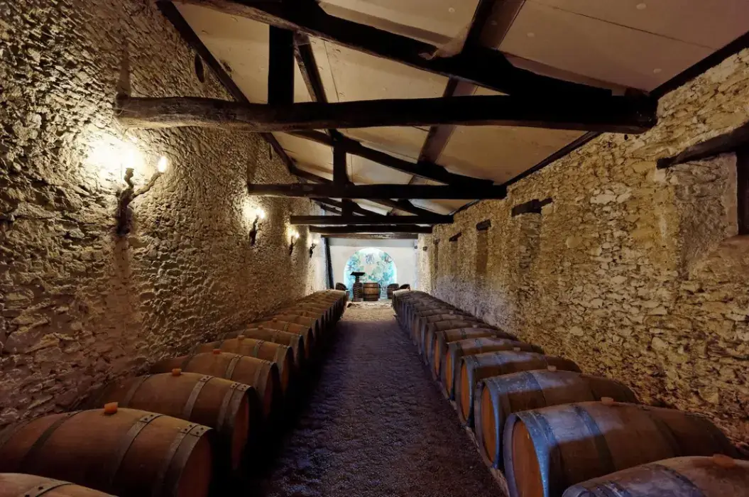 Château de La Cassemichere 12