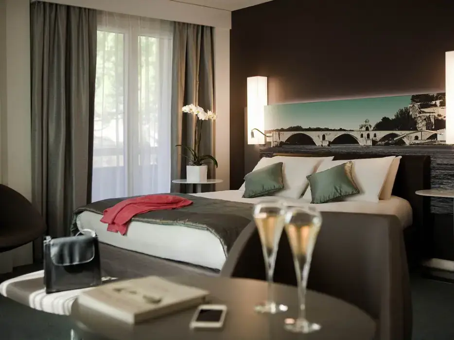 Mercure Pont d'Avignon Centre 2